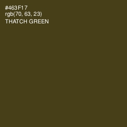 #463F17 - Thatch Green Color Image